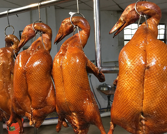 Image: Roasted Duck  
                燒鴨